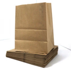 Food Waste Disposable Compost Compostable 100% Biodegradable Brown Craft Kraft Waxed Paper Garbage Bags Without Handles, Paper Bags