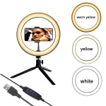 For Live Stream Makeup Youtube Video 10 Inch Photographic Selfie Led Ring Light With Tripod Stand