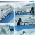 Import FRBM-810I HUALIAN Continuous Plastic Food Bag Heat Sealing Machine from China