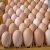 Import Fresh Farm Chicken Table Eggs/ Farm Fresh Chicken Eggs Brown and White Shell Chicken Eggs from Republic of Türkiye