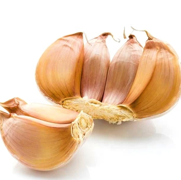 Fresh garlic and ginger to garlic buyer from Saudi Arab, Kenya, EGYPT