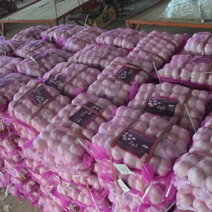 fresh garlic exporter in china