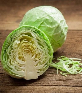 Fresh Green Ball Cabbage