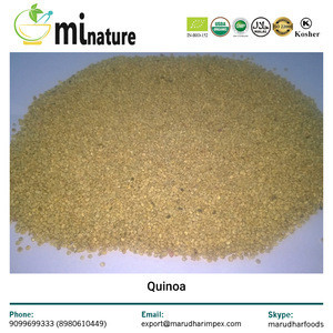 Fresh High Quality Quinoa Grain
