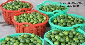FRESH LIME AND LEMON FRUITS ///BEST QUALITY/// BEST PRICE