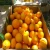 Import fresh lime and lemons, lemon and orange charcoal, Fresh Grapefruit,Tangerine from South Africa