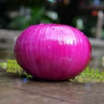 Fresh Onions Red Onions Yellow Onions
