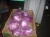 Import Fresh Organic Red Cabbage from Egypt