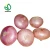 Import Fresh Yellow Onion Seed Price from China