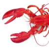Frozen Crawfish Lobster For Sell At Discount Price