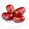 Fruit date dried jujube export price