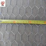 Galvanized Hexagonal Iron Wire Mesh Netting