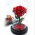 Import Gift Roses Flowers DIY Stabilized Preserved Flower Forever Eternal Rose in Glass Dome, preserved rose in glass from China