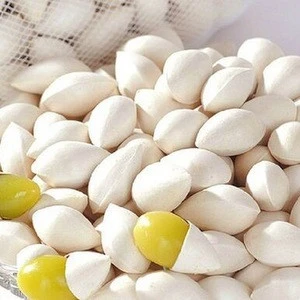 Ginkgo Nuts, Best Price dried Quality Ginkgo Nuts For Sale