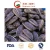 Import Good Flavor Roasted and Salted Sunflower Seeds for Exporting from China