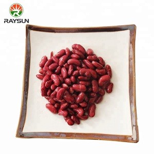 Good quality Canned Red Kidney Beans in Brine