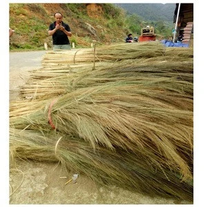 Good quality Household cleaning tool natural material broom