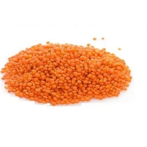 Grade A Red Lentils For Sale