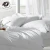 Import Grade Hot Duvet Cover Set 100 Cotton Hotel Bedding Set With 2 Pillow Bed Sheet Linen from China