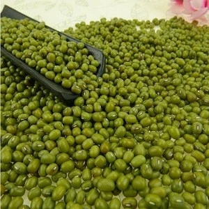 Green mung beans for sprouting