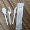 GreenWorks 6 inch  sturdy compostable Durable utensils CPLA disposable flatware set