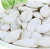 Import HACCP certification hot sale China  factory price snow white pumpkin seeds from China
