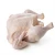 Import Halal Whole Frozen chicken With Discount For Bulk Buyers..... from South Africa