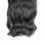 Import half wig clip in hair extensions Long Curly/Wavy Synthetic Hair 5 Clips in Hair Extensions from China