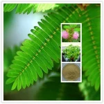 Herb Medicine Mimosa Hostilis Root Bark Extract