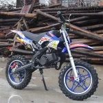High Quality 49cc Asoline Dirt Bike Discounted Sports & Entertainment Motorcycle for 10-Year-Old Children