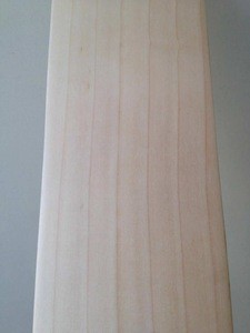 High Quality A+ Grade Cricket Bats English Willow 10+Grains