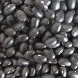 High Quality Black Kidney Beans