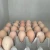 Import High Quality Fresh Chicken Eggs Ukraine FOR SALE from France