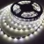 Import High Quality led lighting Cuttable 365nm Blacklight UV waterproof flexible LED Strip light from China