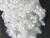 Import Hollow Conjugated Siliconised Polyester Staple Fiber 7D/15D Good Quality from Vietnam