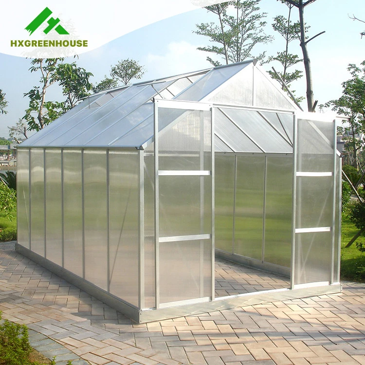 Home Agricultural green house HX65120-1 Series mini plastic polycarbonate film garden greenhouse