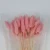 Hot Sale Different Color Rabbit Tail Dry Flower For Home Decoration Or Gift