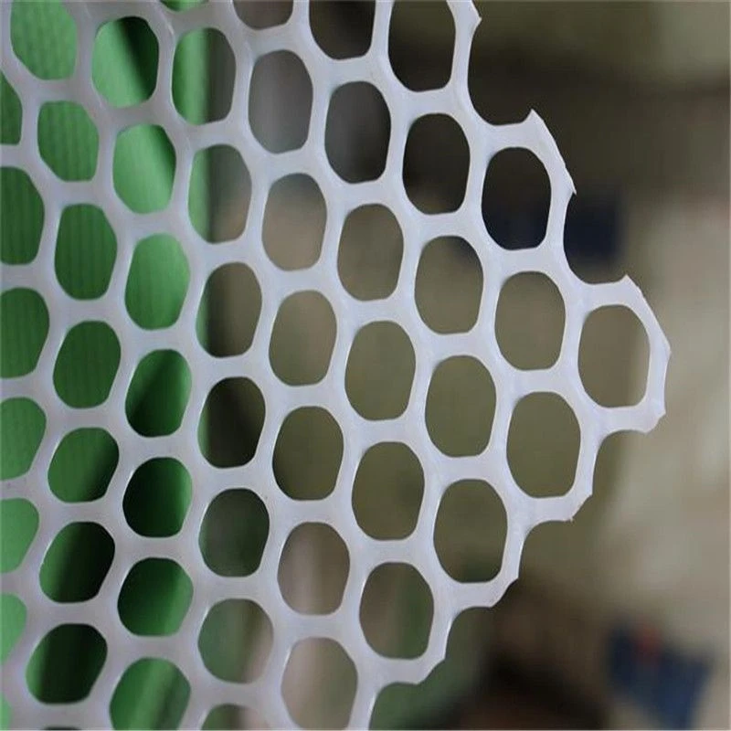 Hot Sale Plastic Flat Mesh Environment-friendly Flexible Plastic Flat Net