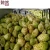 Import Hot Sales fruit enzyme extract slimming drink ORGANIC noni juice concentrate OEM customers brand from China