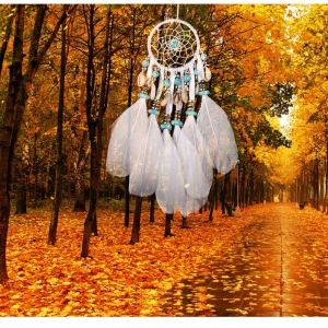 Hot sales in India Market Sea shell Feather Dream Catcher