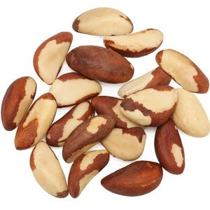 Hot Selling Cheap Brazil Nuts with 100% Natural