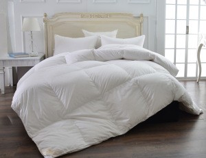 Hotel use luxury Down comforter 100% cotton
