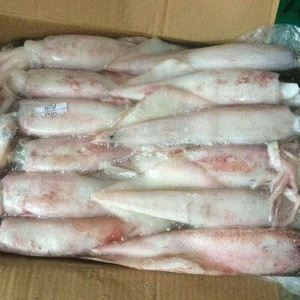 Indonesia Loligo Frozen-on-board Squid, 21-25cm