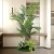 Import Indoor Decor simulation jungle plam tree Green Monstera bonsai plastic mini garden potted plant Artificial Areca Palm tree from China