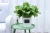 Indoor outdoor garden Hydroponic Kit Modern Style Herb Growing Kit Self Watering Flower Pot Garden