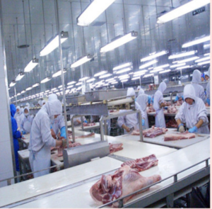 Industry Mobile Slaughterhouse For Lvestock Cow Cattle Sheep Slaughter For Cattle In Binzhou