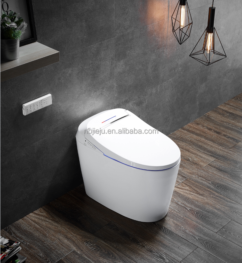 intelligent smart toilet