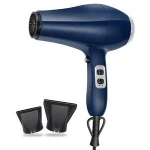 Ionic AC Motor Fast Drying Hair Dryer Professional Salon Use