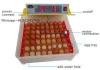 JF- 56 98% high haching rate CE approved new mini automatic incubator Jifeng factory Capacity 56 eggs