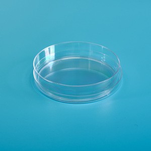 laboratory plastic transparent petri dish